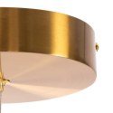 Lampa wisząca CIRCLE 100 LED mosiądz szczotkowany 100 cm