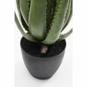 KARE roślina dekoracyjna ALOE 69 cm