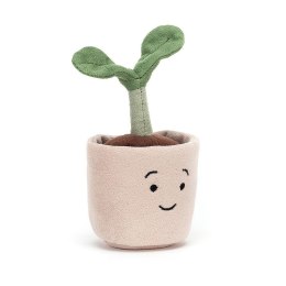 Silly Seedling Happy Sadzonka w doniczce 12x6cm S