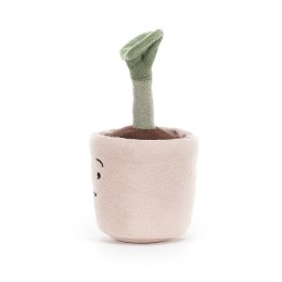 Silly Seedling Happy Sadzonka w doniczce 12x6cm S