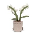 Wesoła Orchidea 29 cm