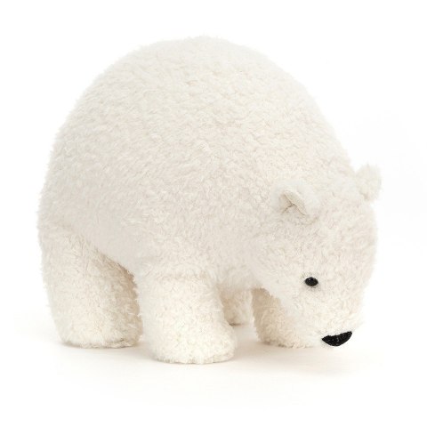 Wistful Polar Bear