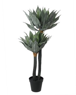 KARE roślina dekoracyjna AGAVE 120 cm